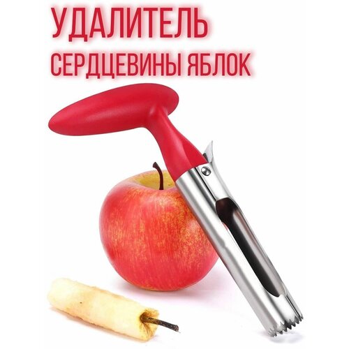 ��� ��� ����� ����������� ������ ��� �������� �������� ��������� ���������� ��� ��� ���������� � ������, ������ ������ 1174 ����