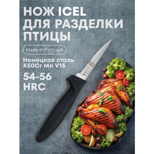 ��� ��� �������� ����� Poly 100/200 ��, ������, Icel, ������ ������ 1947 ����
