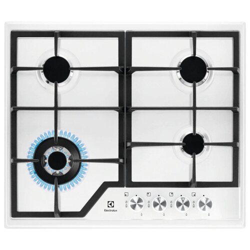 ������� �������� ������ Electrolux EGS 6436 WW, �����, ������ ������ 58473 ����