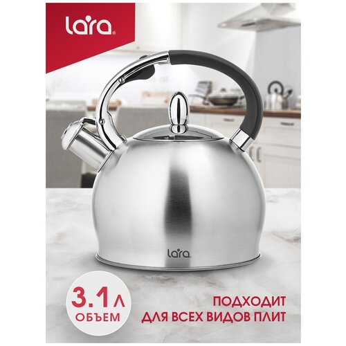 ������ �� �������� LARA LR00-10: �������, 3.1�, ������. ��� 0.5��, ������������� ������������ �����, ������ ������ 2687 ����
