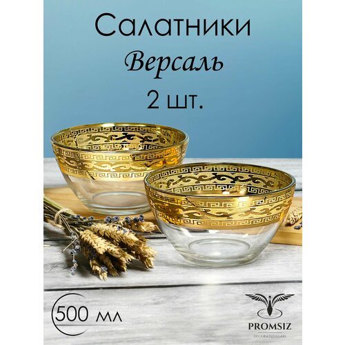 ���������� ����� ���������� ���������� � �������� ����������� PROMSIZ ������� / 500 ��, 2 ��., ������ ������ 1269 ����