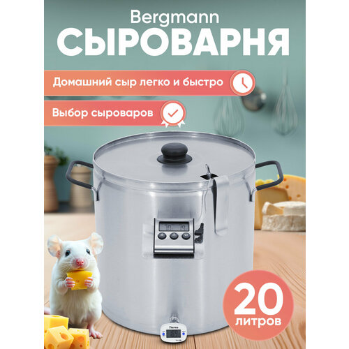 ��������� BERGMANN, 20 �, 2 � 1 ������������ � ���������, ������� �������., ������ ������ 45000 ����
