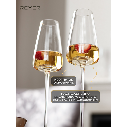 ������ ��� ����������� Reyer 2 ��, 270 ��, ������ ������, ���������� �����, ������ ������ 3283 ����