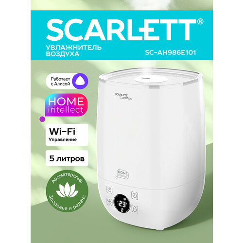 ����������� ������� Scarlett SC-AH986E101 200 �� ����� ������� (EAC), ������ ������ 5291 ����