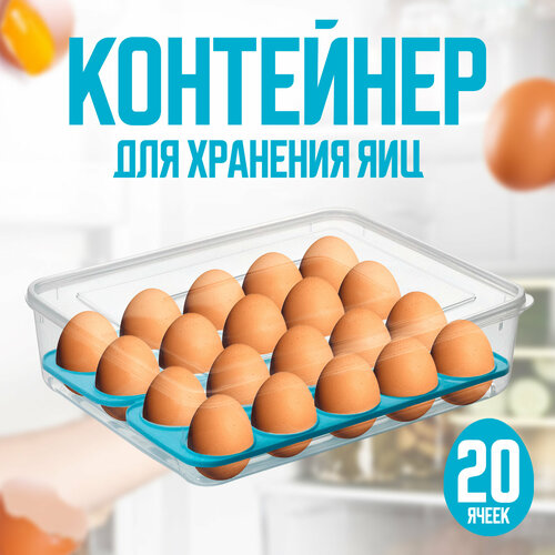 ��������� ��� ��� SKYPHOS 20 �����, ���� ����, ������ ������ 657 ����