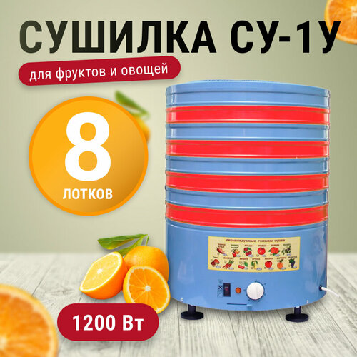 ������� ����� ��-1� 43 �� �������/������, ������ ������ 13590 ����