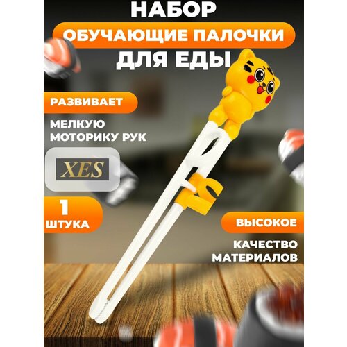 ������� ��������� ������� ��� ��� ���� ������ wok ��������, ������ ������ 510 ����