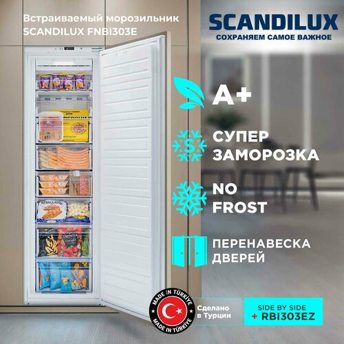 ������������ ����������� SCANDILUX FNBI303E, ������ ������ 67700 ����