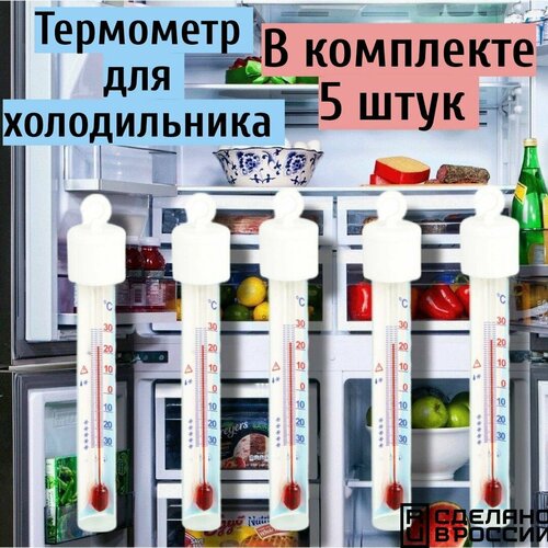 ��������� ��� ������������, 5 ��., ������ ������ 1666 ����