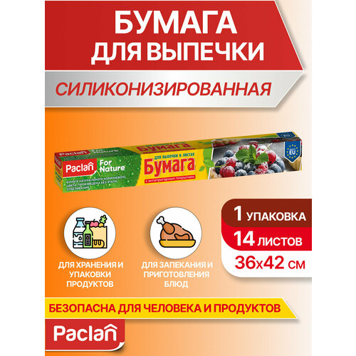������ ��� ������� � ������ Paclan, 1 ��������, 14 ������, 38 � 42 ��, ������ ������ 300 ����