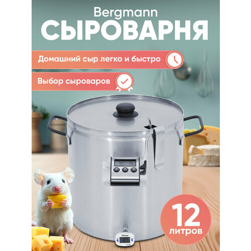 ��������� BERGMANN, 12 �, 2 � 1 ������������ / ������� �������., ������ ������ 36860 ����